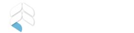 Sheworks Digital Marketing Logo